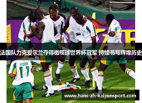 法国队力克爱尔兰夺得橄榄球世界杯冠军 持续书写辉煌历史 法国队力克爱尔兰夺得橄榄球世界杯冠军 持续书写辉煌历史